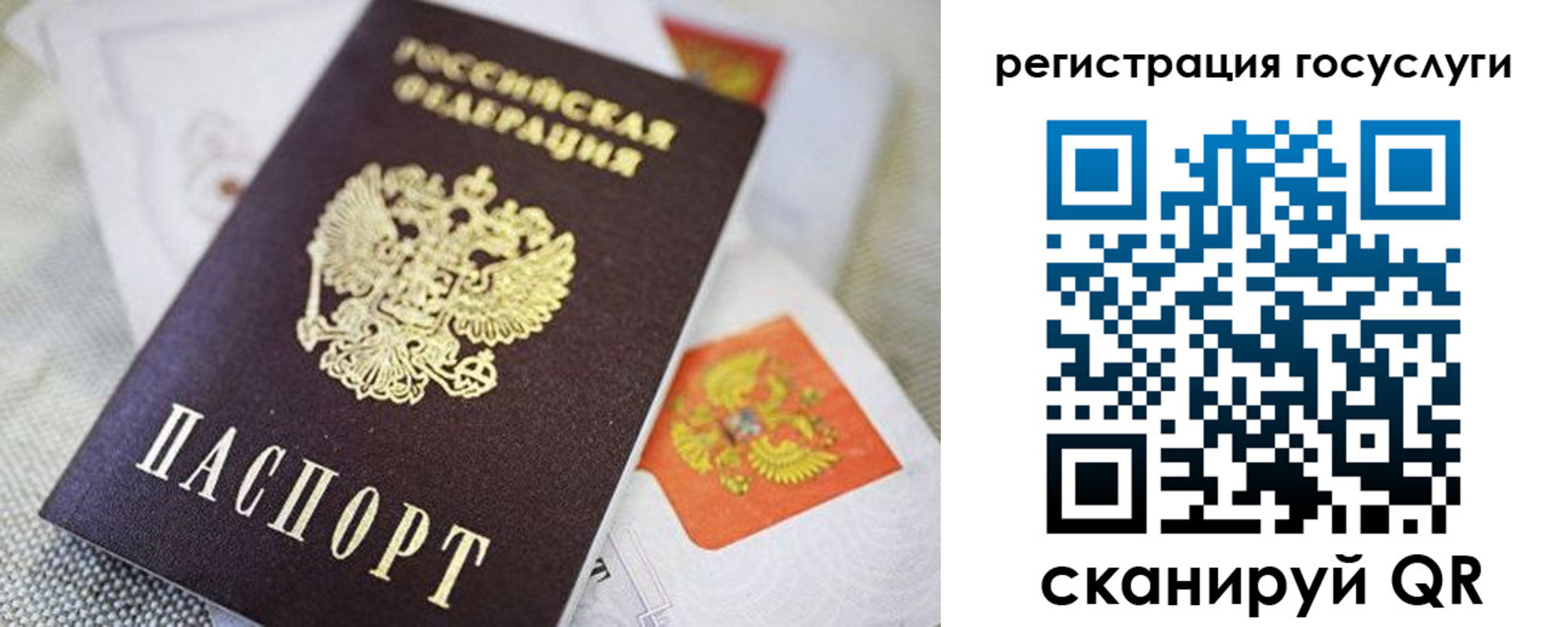 прописка паспорт в Новочеркасске